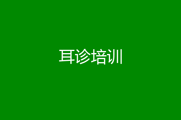 耳诊培训