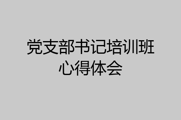 党支部书记培训班心得体会