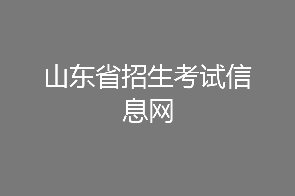 山东省招生考试信息网