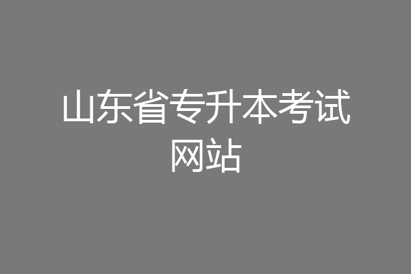 山东省专升本考试网站