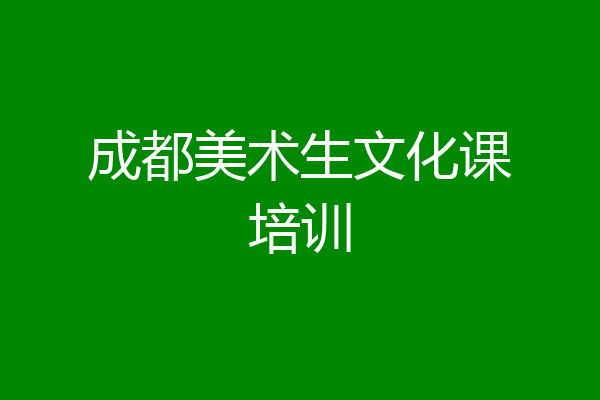 成都美术生文化课培训
