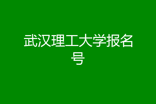 武汉理工大学报名号