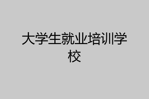 大学生就业培训学校