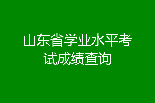 山东省学业水平考试成绩查询