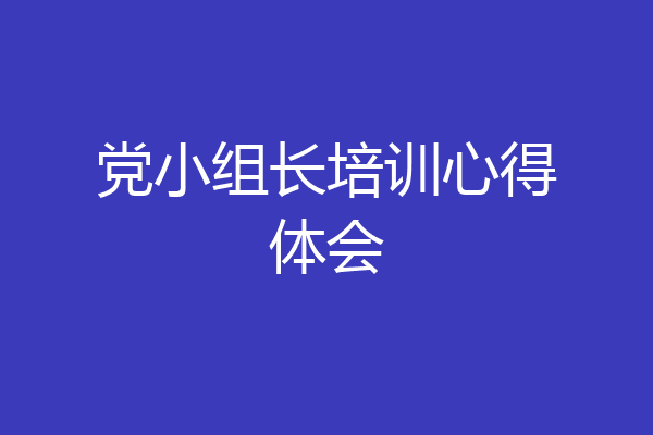 党小组长培训心得体会