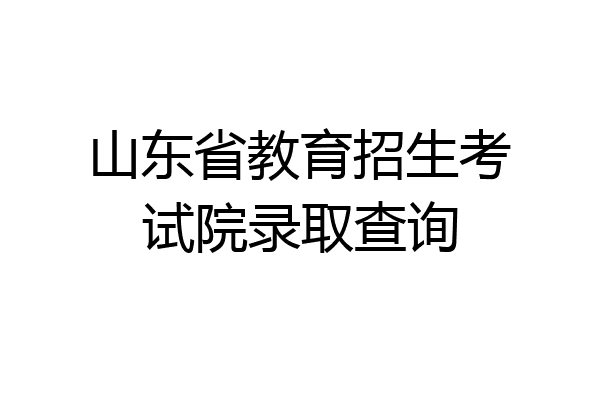山东省教育招生考试院录取查询