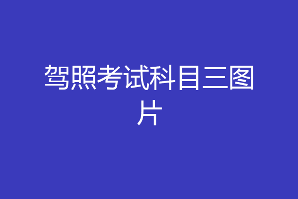 驾照考试科目三图片