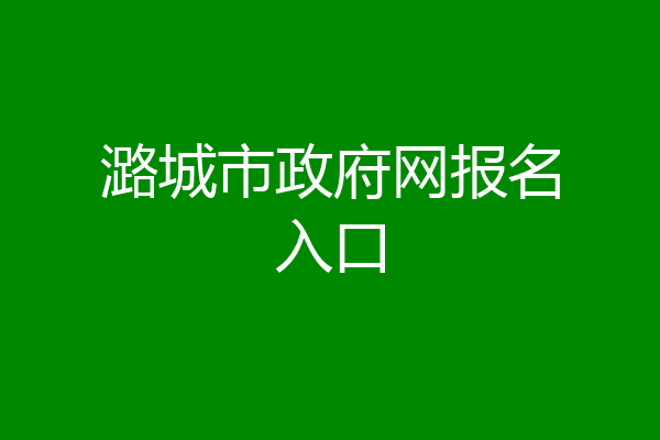 潞城市政府网报名入口