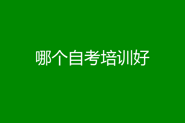 哪个自考培训好
