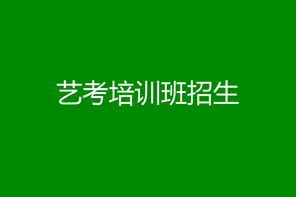 艺考培训班招生