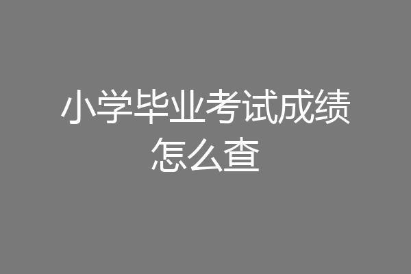 小学毕业考试成绩怎么查
