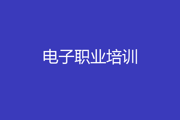 电子职业培训