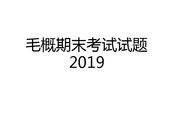 毛概期末考试试题2019