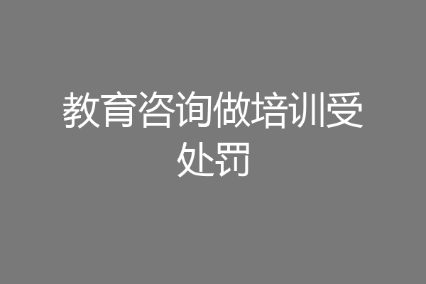 教育咨询做培训受处罚