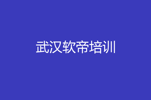武汉软帝培训