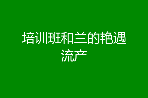 培训班和兰的艳遇流产