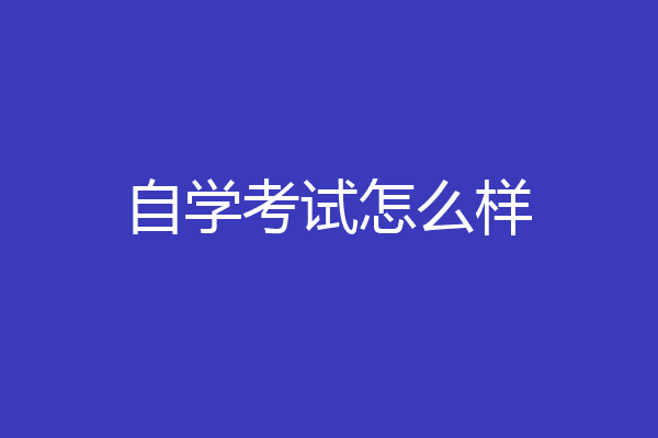 自学考试怎么样