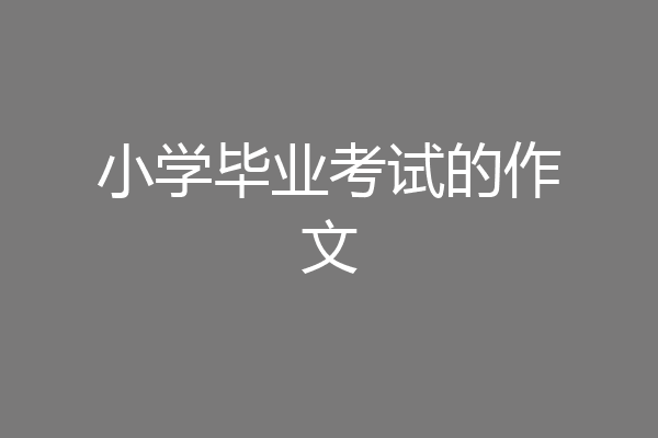 小学毕业考试的作文