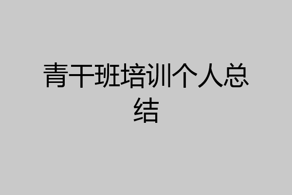 青干班培训个人总结