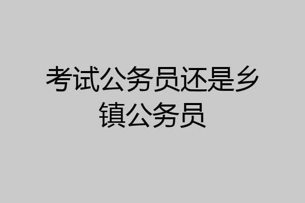 考试公务员还是乡镇公务员