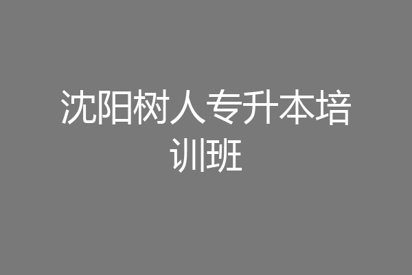 沈阳树人专升本培训班