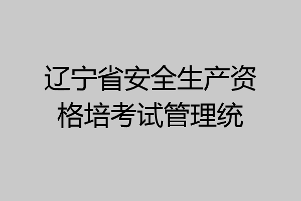 辽宁省安全生产资格培考试管理统