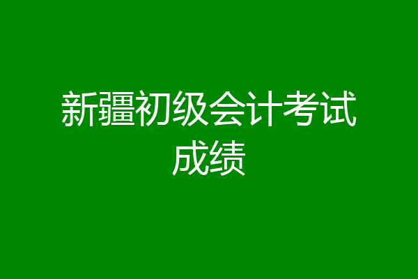 新疆初级会计考试成绩