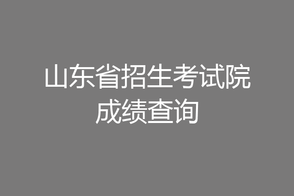 山东省招生考试院成绩查询