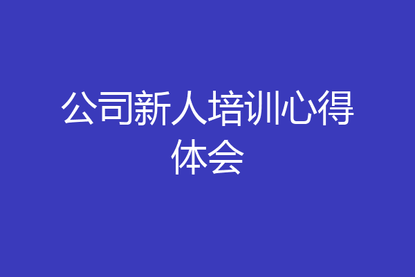 公司新人培训心得体会