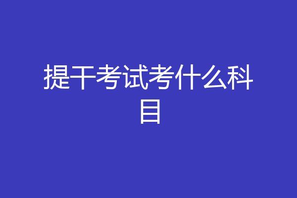 提干考试考什么科目