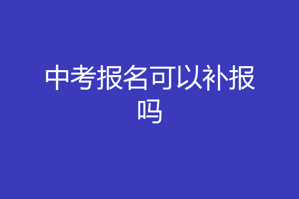 中考报名可以补报吗