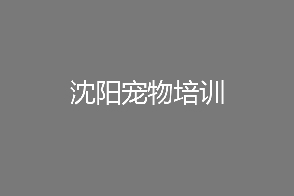 沈阳宠物培训