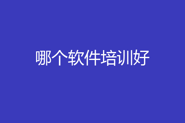 哪个软件培训好