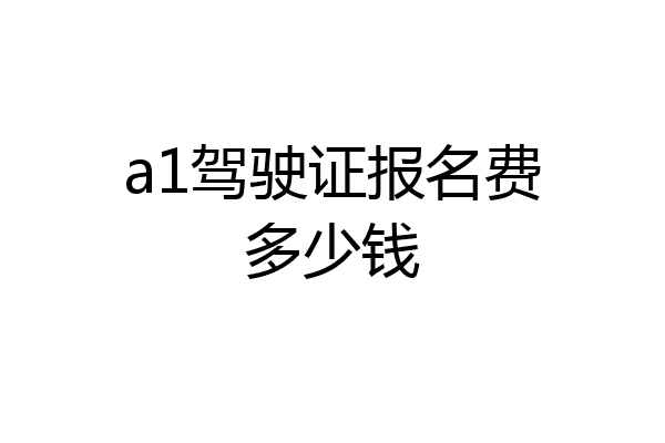 a1驾驶证报名费多少钱