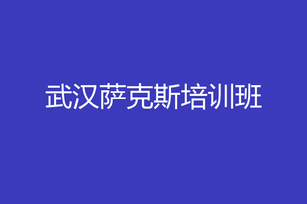 武汉萨克斯培训班