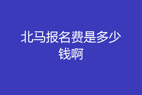 北马报名费是多少钱啊