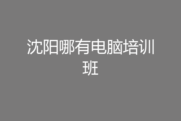 沈阳哪有电脑培训班