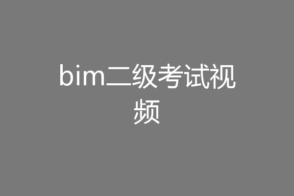 bim二级考试视频