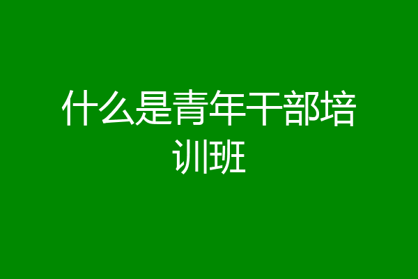 什么是青年干部培训班
