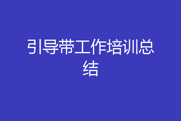 引导带工作培训总结
