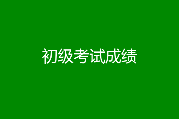 初级考试成绩