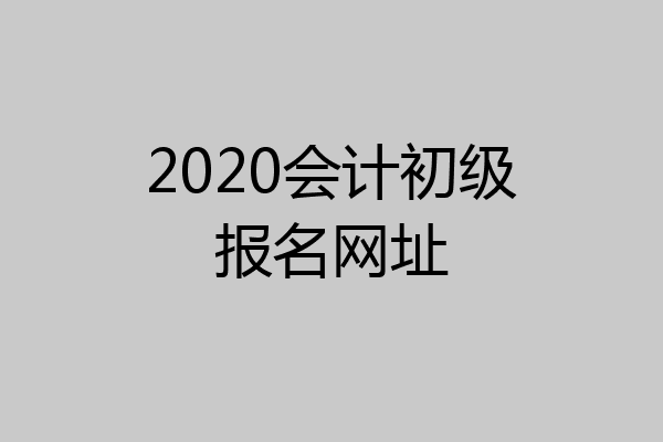 2020会计初级报名网址