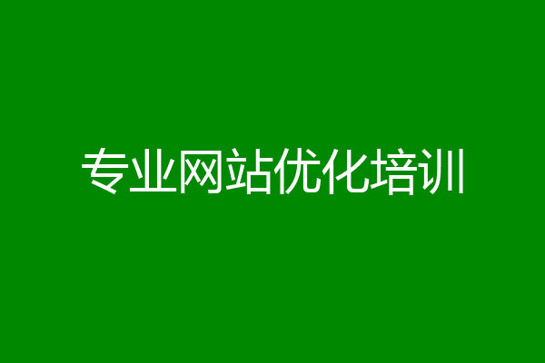 专业网站优化培训