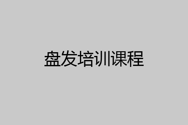 盘发培训课程
