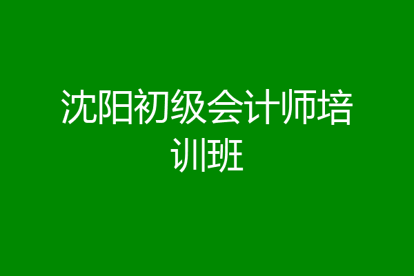沈阳初级会计师培训班