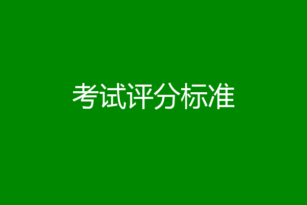 考试评分标准