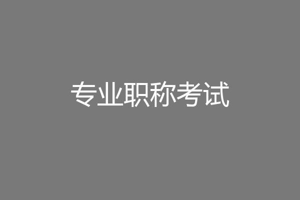 专业职称考试