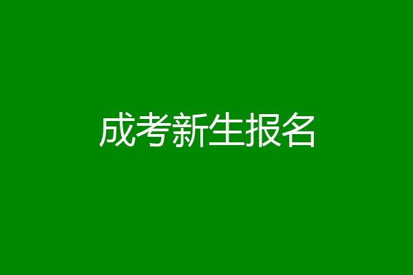 成考新生报名