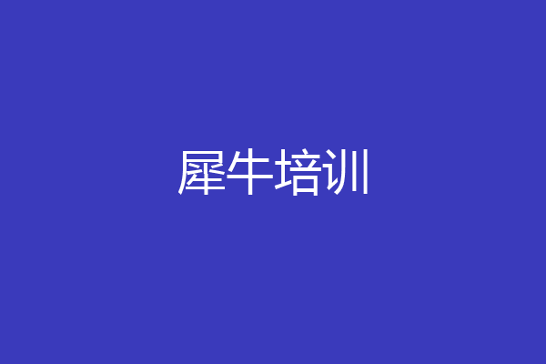 犀牛培训