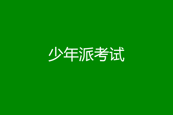少年派考试